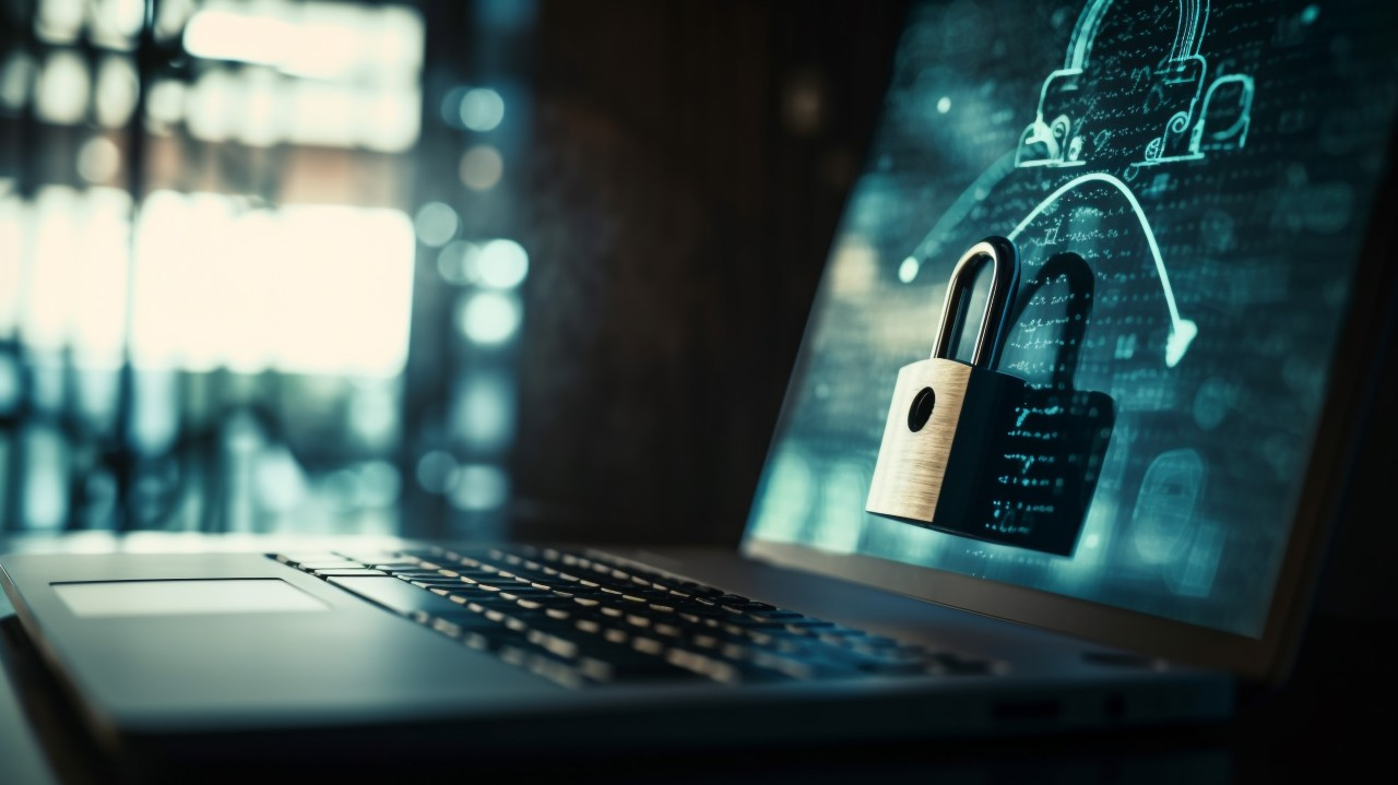 Fractional Data Protection Officer